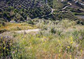 Rustic finca of 29.800 m² in Sayalonga, with stunning views and a house to reform. Ideal for rural project, agriculture or charming house in the middle of nature.
