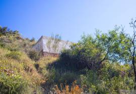 Rustic finca of 29.800 m² in Sayalonga, with stunning views and a house to reform. Ideal for rural project, agriculture or charming house in the middle of nature.