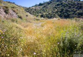Rustic finca of 29.800 m² in Sayalonga, with stunning views and a house to reform. Ideal for rural project, agriculture or charming house in the middle of nature.