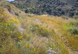 Rustic finca of 29.800 m² in Sayalonga, with stunning views and a house to reform. Ideal for rural project, agriculture or charming house in the middle of nature.