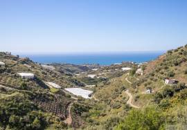 Rustic finca of 29.800 m² in Sayalonga, with stunning views and a house to reform. Ideal for rural project, agriculture or charming house in the middle of nature.