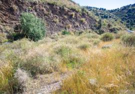 Rustic finca of 29.800 m² in Sayalonga, with stunning views and a house to reform. Ideal for rural project, agriculture or charming house in the middle of nature.