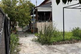 Volos (Volos)
