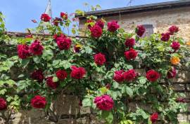 Luxury 6 Bed Stone House For Sale In Cuiseaux