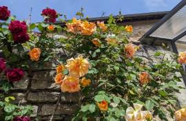 Luxury 6 Bed Stone House For Sale In Cuiseaux