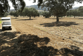 5 Bed Finca For Sale in El Entredicho Andalusia