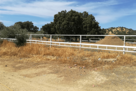 5 Bed Finca For Sale in El Entredicho Andalusia