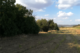 5 Bed Finca For Sale in El Entredicho Andalusia