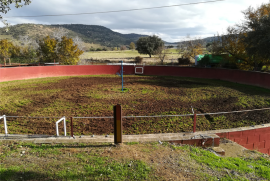 5 Bed Finca For Sale in El Entredicho Andalusia