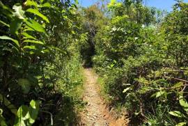 Excellent Estate of land plots & Farm for sale in the