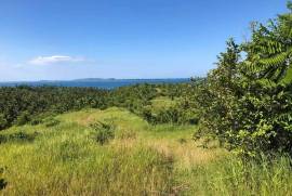 Excellent Estate of land plots & Farm for sale in the