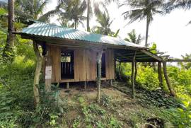 Excellent Estate of land plots & Farm for sale in the