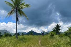 Excellent Estate of land plots & Farm for sale in the