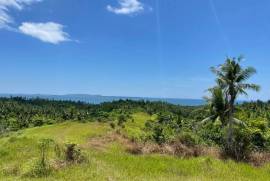 Excellent Estate of land plots & Farm for sale in the