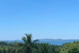 Excellent Estate of land plots & Farm for sale in the