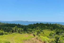 Excellent Estate of land plots & Farm for sale in the