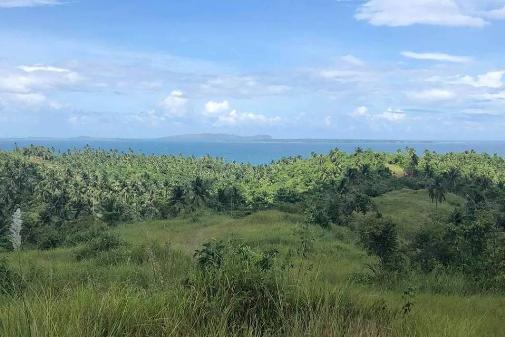 Excellent Estate of land plots & Farm for sale in the