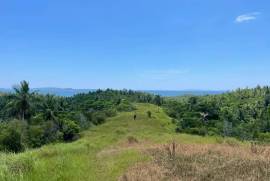 Excellent Estate of land plots & Farm for sale in the