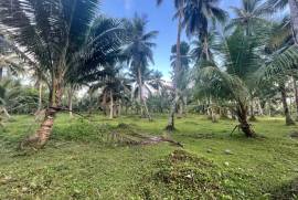 Excellent Estate of land plots & Farm for sale in the