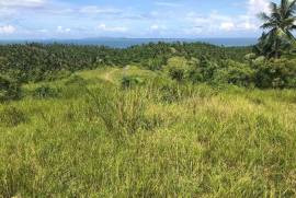 Excellent Estate of land plots & Farm for sale in the