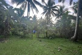 Excellent Estate of land plots & Farm for sale in the