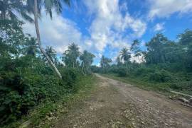 Excellent Estate of land plots & Farm for sale in the