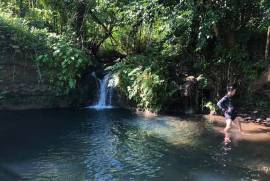 Excellent Estate of land plots & Farm for sale in the