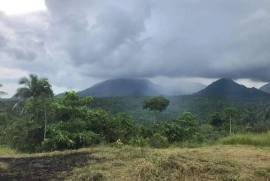 Excellent Estate of land plots & Farm for sale in the