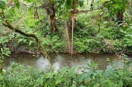 Excellent Estate of land plots & Farm for sale in the