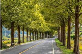 Excellent Plot of land for sale in Boseong-gun South