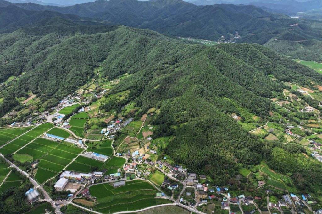 Excellent Plot of land for sale in Boseong-gun South