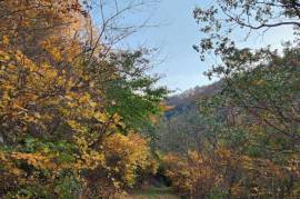 Excellent Plot of land for sale in Boseong-gun South