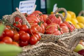 Grocery Transfer in Almansil