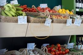 Grocery Transfer in Almansil