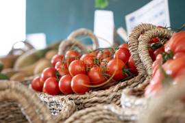 Grocery Transfer in Almansil