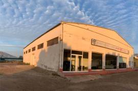Industrial warehouse of 600 m² with an attached plot of 6,000 m² for sale in Orihuela.