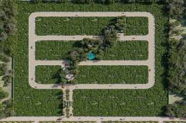 Premium Lots for Sale in the Riviera Maya