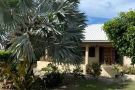 Fan Palm Cottage