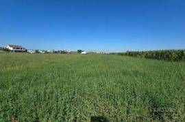 Land-Plot for sale in Tirana Albania