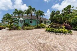 Windswept - St Silas Heights