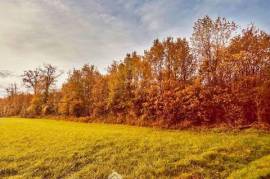 Terrain non constructible - 12718m² - Celle-Lévescault