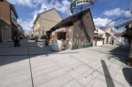 Slavonski Brod, City Center - Commercial space, 110 m², on Zajčeva Street