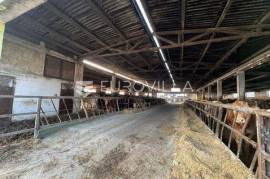 Selci Đakovački, cattle farm with the possibility of conversion, 11,370 m²