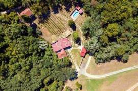 Baranja, Popovac, estate with three buildings, a swimming pool and 6ha of land (production)