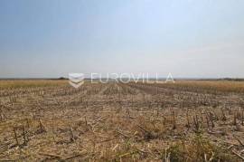 Aljmaš, commercial land 4729 m2 for with storage permit