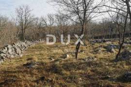 KRK ISLAND, KRK (Environment) - Agricultural land