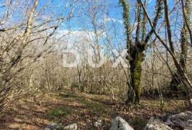 KRK ISLAND, KRK - Flat land rich in wood with access, ideal for OPG, 3000m from the sea!