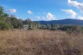 Radunić, Donje Ogorje, agricultural land suitable for a family farm OPG, 18.000 m²