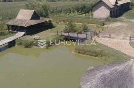 Velika Kopanica, Spacious 15600 m² Estate