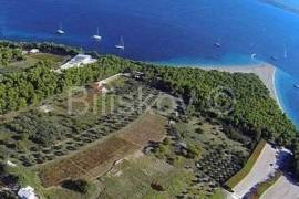 Brač, Bol, agricultural land area 1180 m2